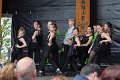 Koningsdag2016 DC 247